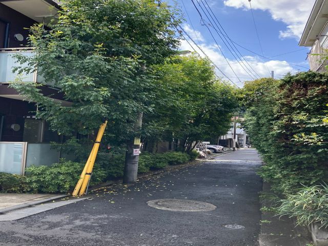 バッテリーチェーンソー施工なので騒音対策も安心です。