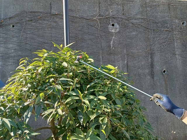 ◎先ずは現地調査させて下さい！庭木１本から対応致します！賠償保険加入済