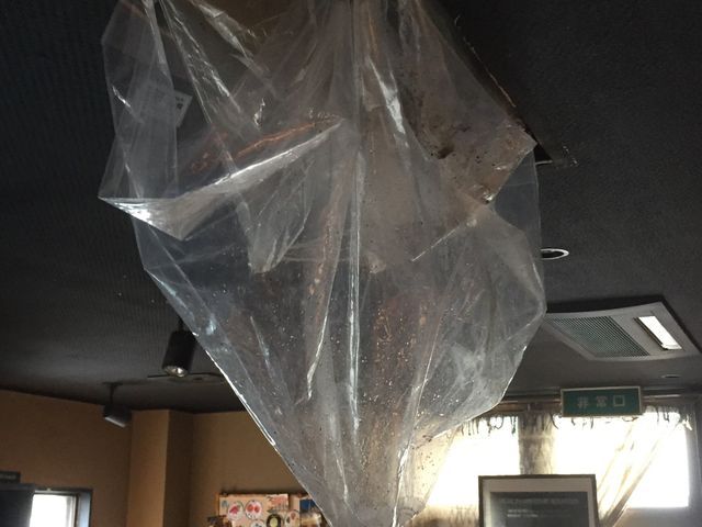 専用洗剤と高圧洗浄でエアコン内部をキレイにします！ 安心の 損害保険加入済み。