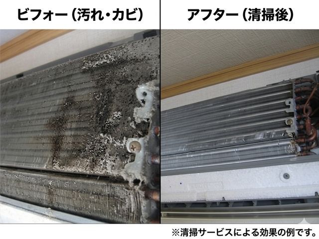 【徹底洗浄＆快適空間】大手仕込みの高品質クリーニング