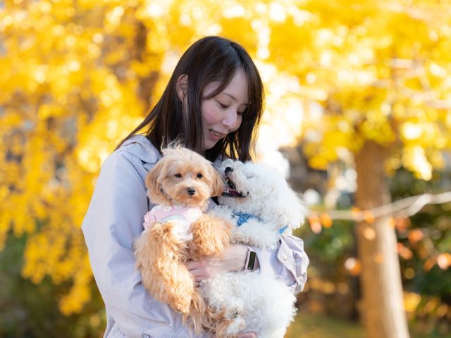 開店記念価格！ペットと飼い主さんの物語を永遠に！同じ目線で切り取る自然体写真撮影