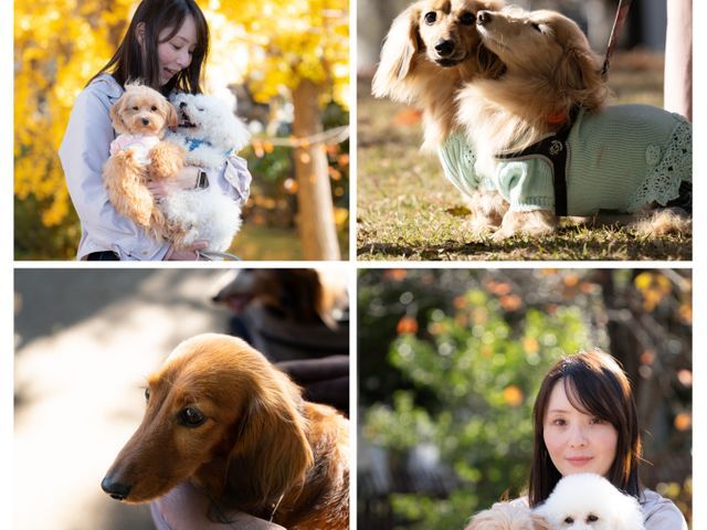 【今だけ★開店記念価格！】ペットと飼い主さんの物語を永遠に！