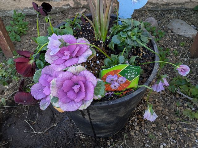 プロの技術でご満足いただけるように心を込めて作業いたします