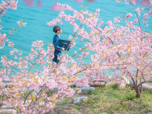 入園・卒園・入学・卒業