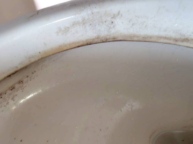 おトイレ掃除の神様