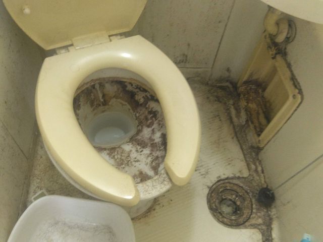 4月 新生活 新春応援キャンペーン☆