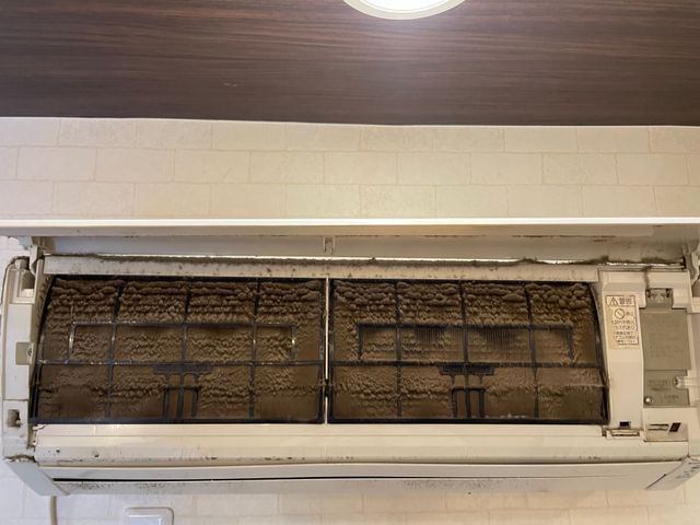 若さと元気で笑顔をお届け！お客様満足度重視のフレッシュサービス