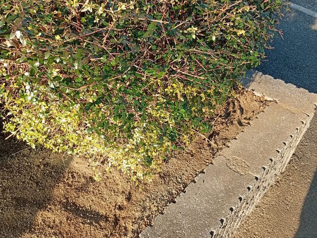 ハウスクリーニング士認定の自社スタッフが長期信頼関係を築きます