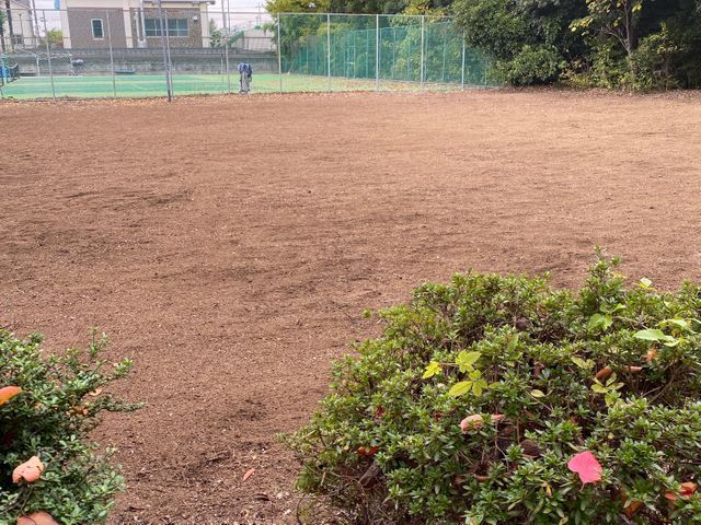 草刈り　刈り払い機使用