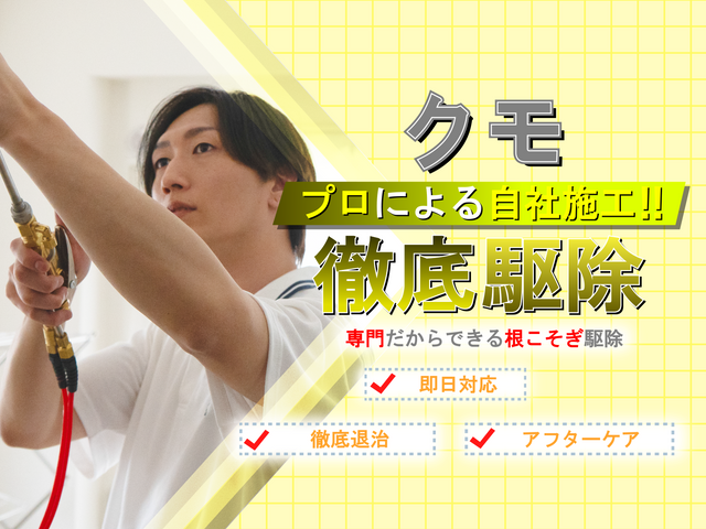 ◆即日対応可◆しつこい蜘蛛の巣も綺麗に駆除！安全な薬剤で巣を作らせない徹底施工！