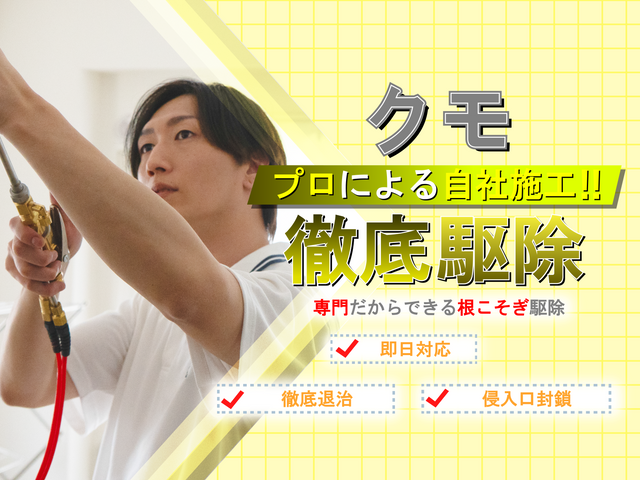 ◆即日対応可◆しつこい蜘蛛の巣も綺麗に駆除！安全な薬剤で巣を作らせない徹底施工！