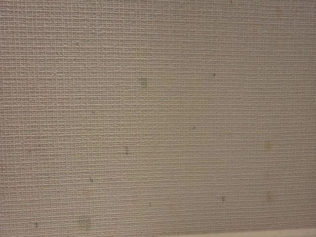 クロスリメイクサービスの画像