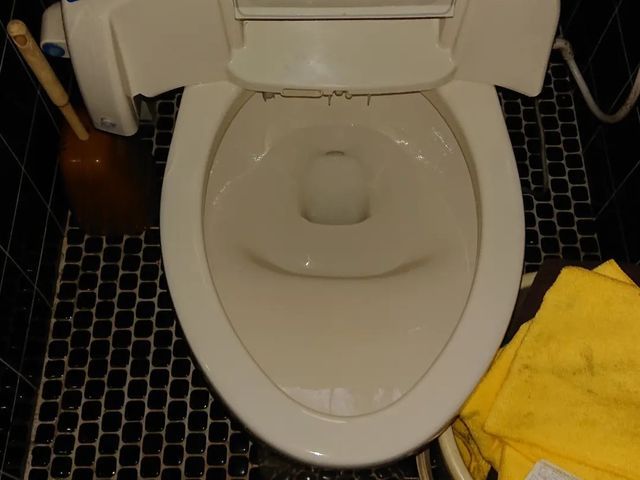 ★仕上がり保証★保険完備 手抜き知らずの信頼出来るスタッフしかお伺いしません。サービスの画像