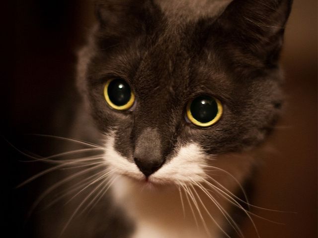 光の演出で被写体の魅力が伝わる自然体で印象深い写真を撮影いたします