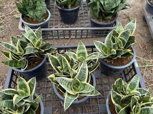 お客様のお力になります！経験と知識を活かして迅速丁寧に作業いたします