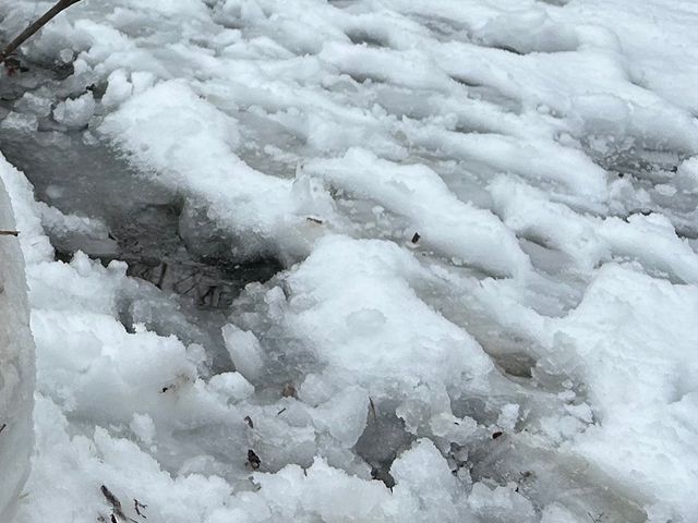 雪かき、雪おろし