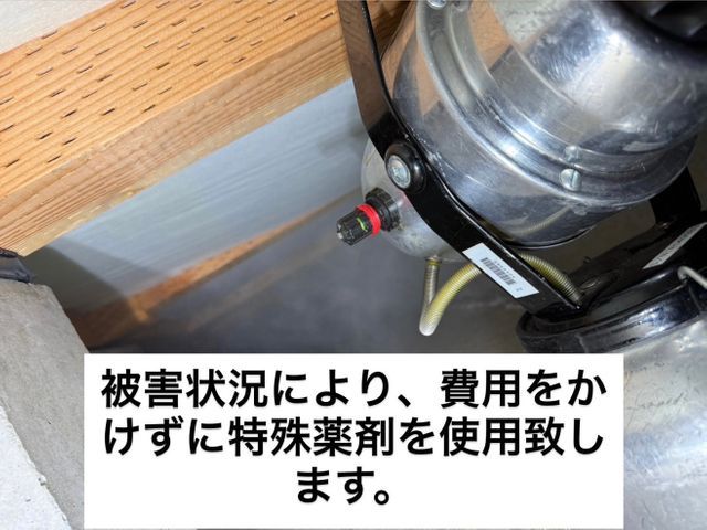 必ず完全駆除！千葉、埼玉、神奈川も対応！侵入口徹底閉鎖。薬剤散布もサービスです