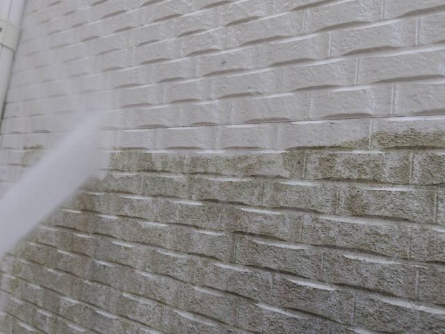 11月新規出店◇船橋の街を美しく変える！丁寧な現地調査と明瞭説明で選ばれ続けるサービスの画像