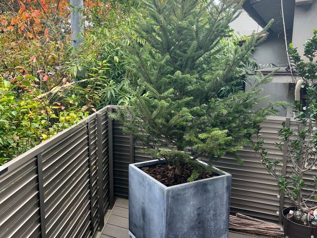 【業界歴25年の経験実績】全て自社対応◎一級造園技能士が在籍しています！