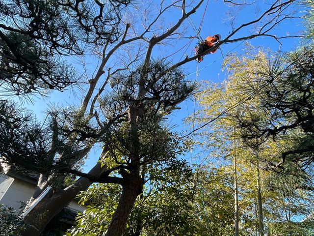 業界歴30年以上！穏やかな職人が近隣への配慮も怠らず一貫して丁寧に仕上げます