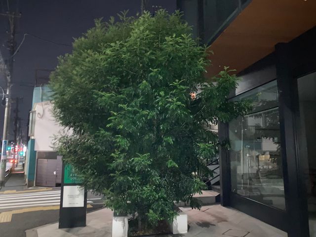 1本でも前日でも依頼対応可能な丁寧作業で安心！