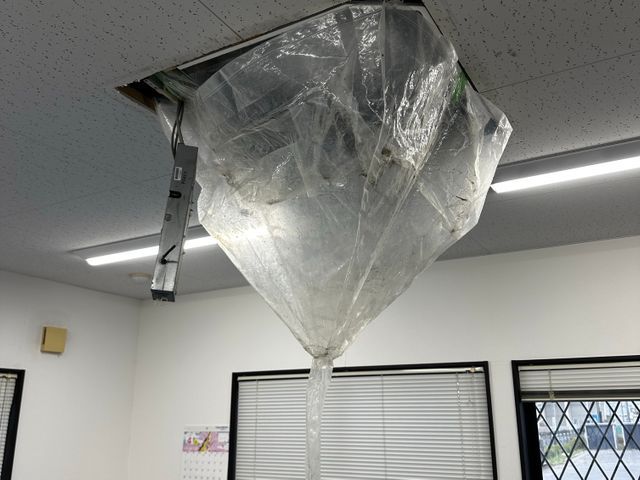 機械が得意で丁寧な作業に自信があります！清潔感には気をつけて作業いたします
