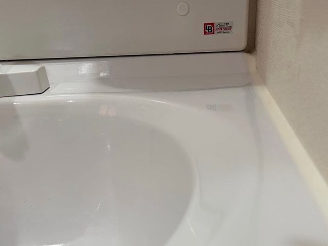 洗面所クリーニング