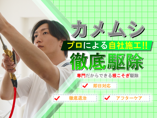 ◆即日対応可◆しつこく飛来するカメムシも徹底駆除！安全な薬剤で寄せ付けない施工！