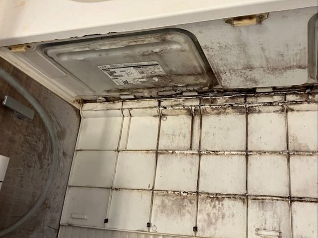 セットがお得！カビも水アカも徹底除去！