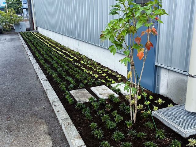 新築住宅や会社、今のお庭を一新する、お花や木の植栽、お庭作りを承っています。
