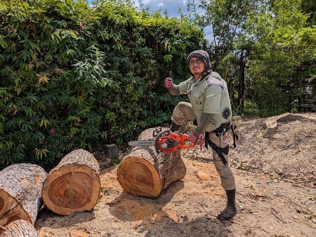 緑のお仕事承ります。