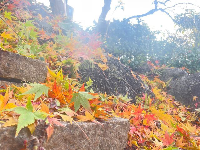 スタッフ一同、心を込めて誠心誠意対応いたします！アフターフォローも万全