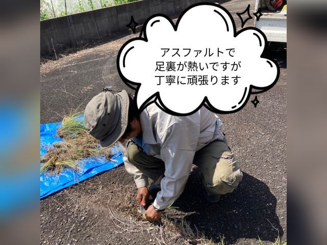 ご好評につき11/4以降の対応となります☆お庭や駐車場の草抜き☆