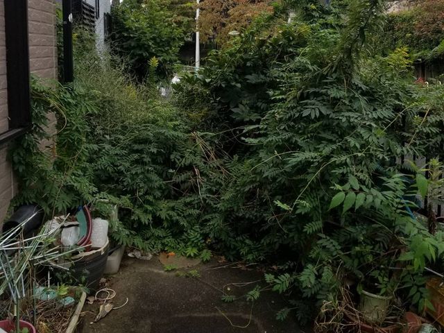 見た目スッキリ！丁寧に仕上げていきます！見積もり無料！是非ご相談下さい。