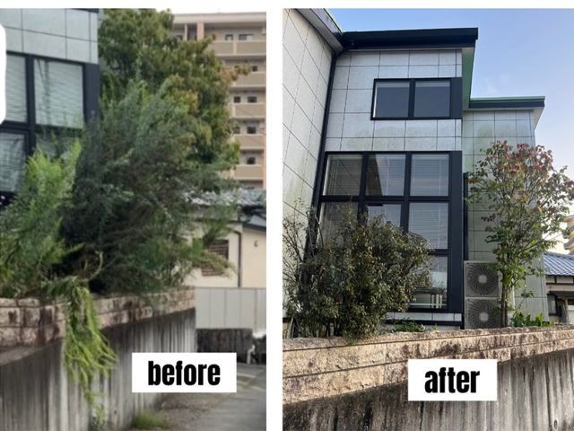 【業界歴15年】ご予算と樹木の状態を見て、最適な剪定をご提案！