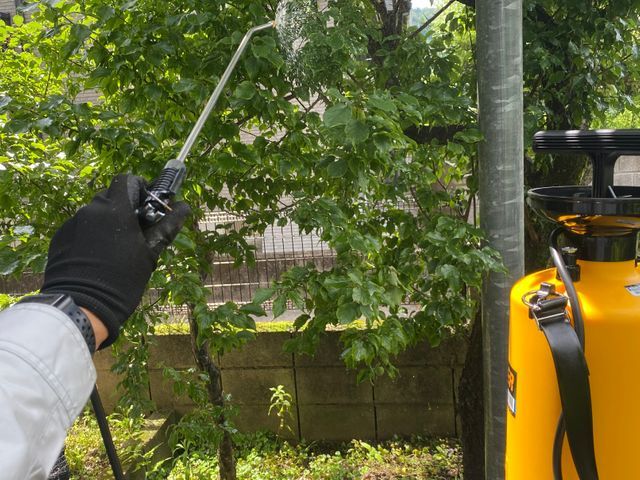 アリ駆除・防除