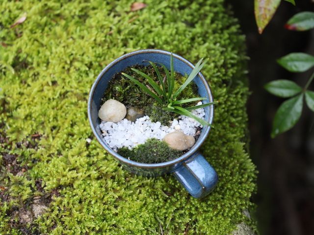 プロの技術でご満足いただけるように心を込めて撮影いたします