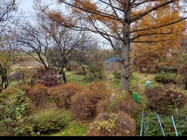 お庭を綺麗にしませんか！お客様のご要望にお答え致します。