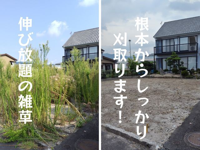 【草刈り機での機械刈り】飛び石しません！養生しっかり！丁寧に地際で刈り取ります！