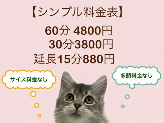 ペットシッター専門店で経験を積んだプロが対応！女性スタッフ　60分4800円