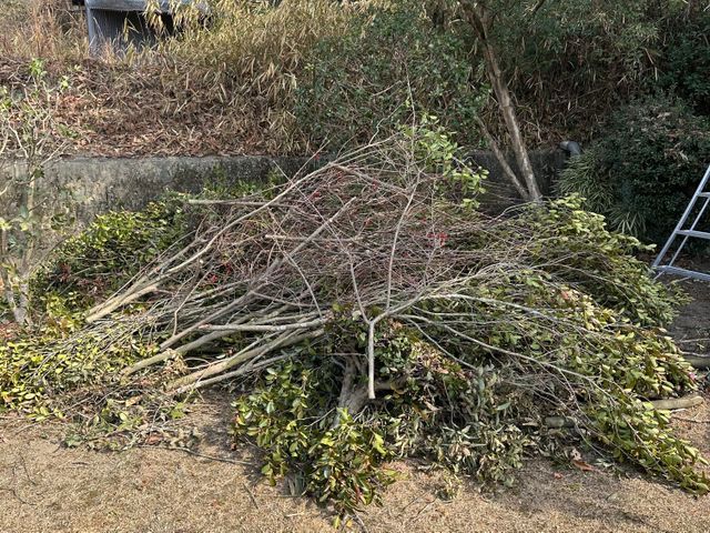 出店記念キャンペーンで地域最安値に挑戦中！2月お客様大歓迎です！