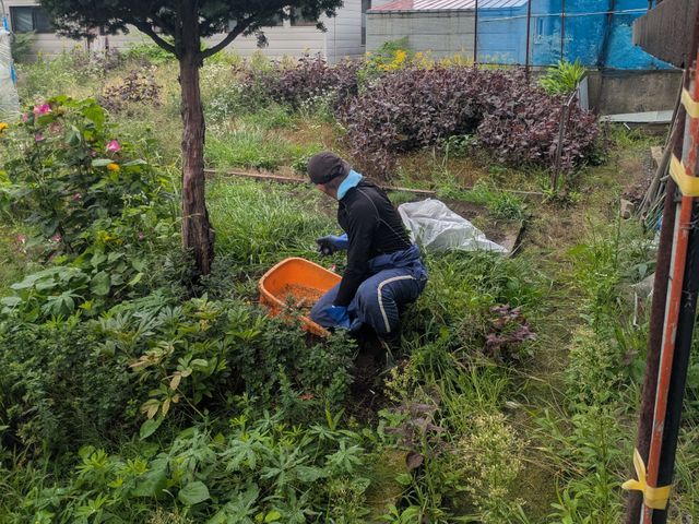 【草むしり・手作業】庭・花壇｜除草・抜根・高齢者対応OK