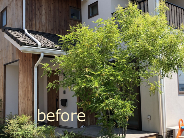 ◤安心・丁寧な庭木のお手入れ◢　ナチュラルな剪定で「毎日の暮らしに、緑の癒しを」