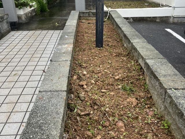 春からの虫対策に！！格安で処分までいたします！