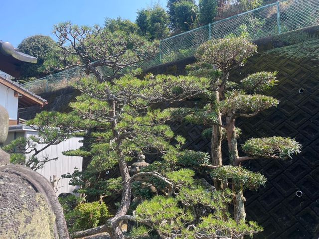 住まいるクリーン