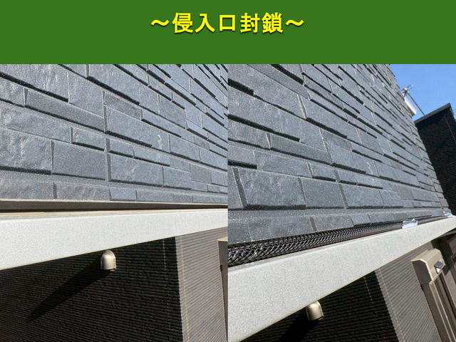 【安心の地元業者】コウモリ追い出し、再侵入予防のプロフェッショナルI【無料調査】