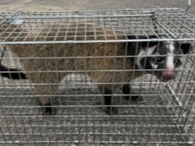 お客様のお力になります！経験と知識を活かして迅速丁寧に作業いたします