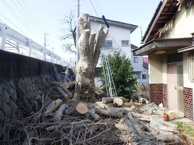 【業歴10年以上】完全自社対応◎自信を持って対応します