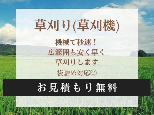 機械で秒速！広範囲も安く早く草刈りします【袋詰め対応◎】