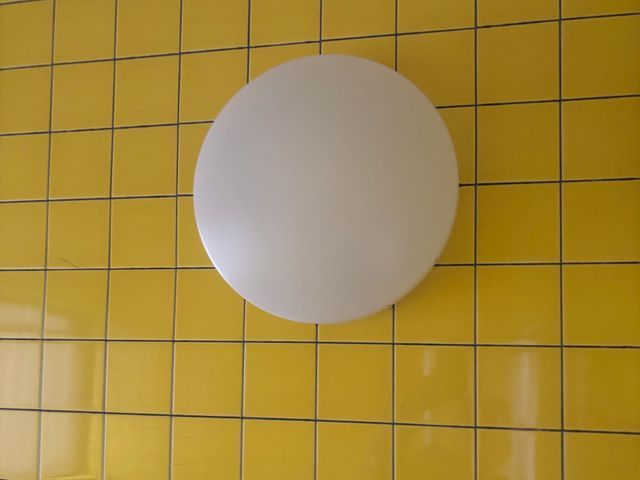 浴室照明器具の交換